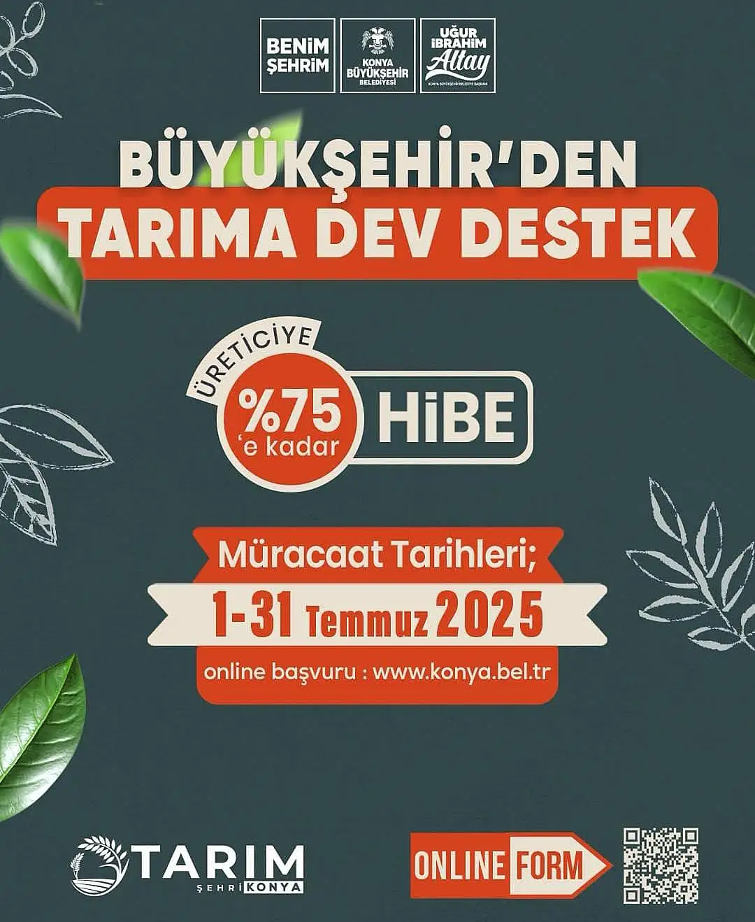 Haber