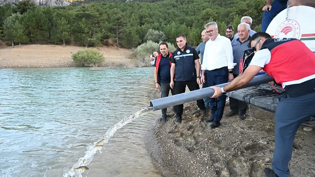Konya'da göletlere 500 bin sazan yavrusu bırakıldı