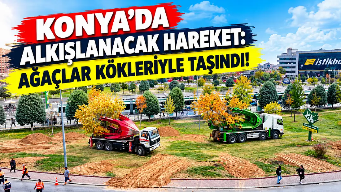 Konya'da alkışlanacak hareket: Ağaçlar kökleriyle taşındı!