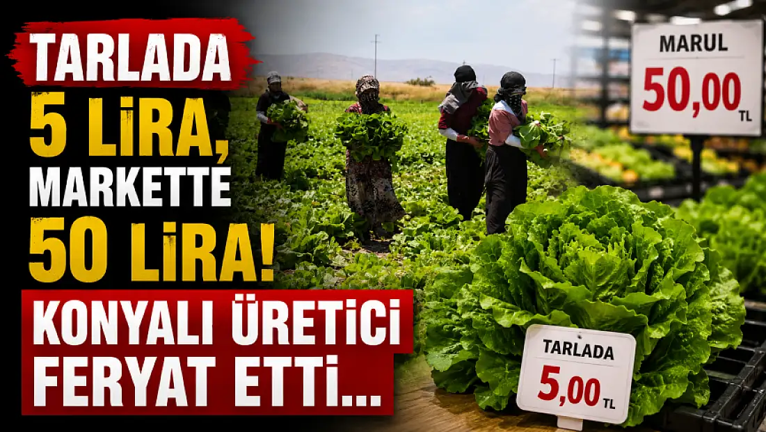 Tarlada 5, markette 50 lira! Konyalı üretici feryat etti...