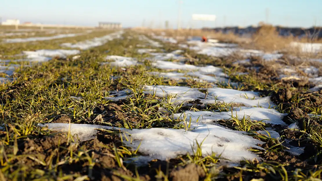 Konya'da hububat üreticisinin gözü havada: Tarlalar kar örtüsü bekliyor!