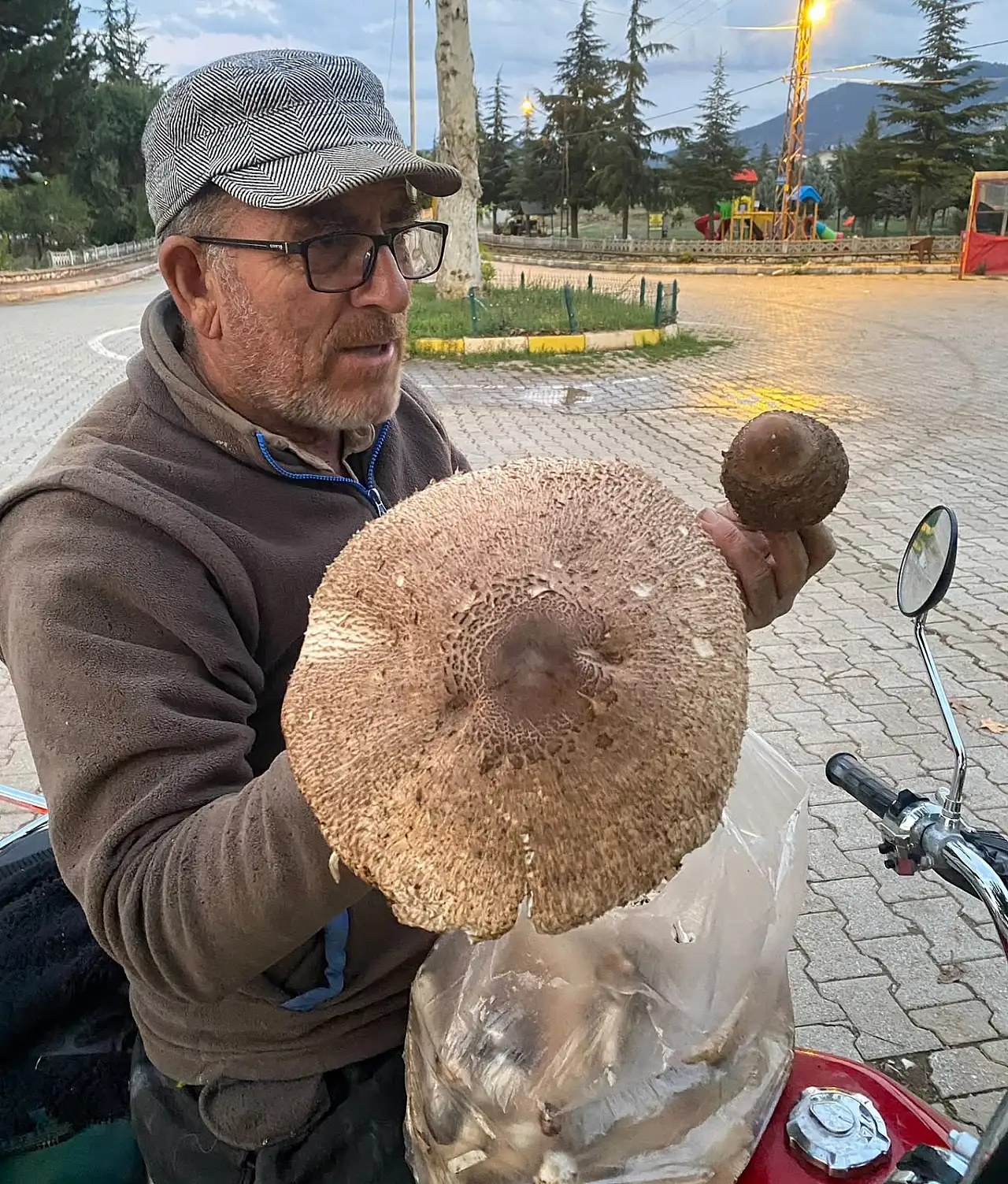 Konya'da arazide mantar arıyordu! Karşısına çıkan dev mantar şaşkına çevirdi