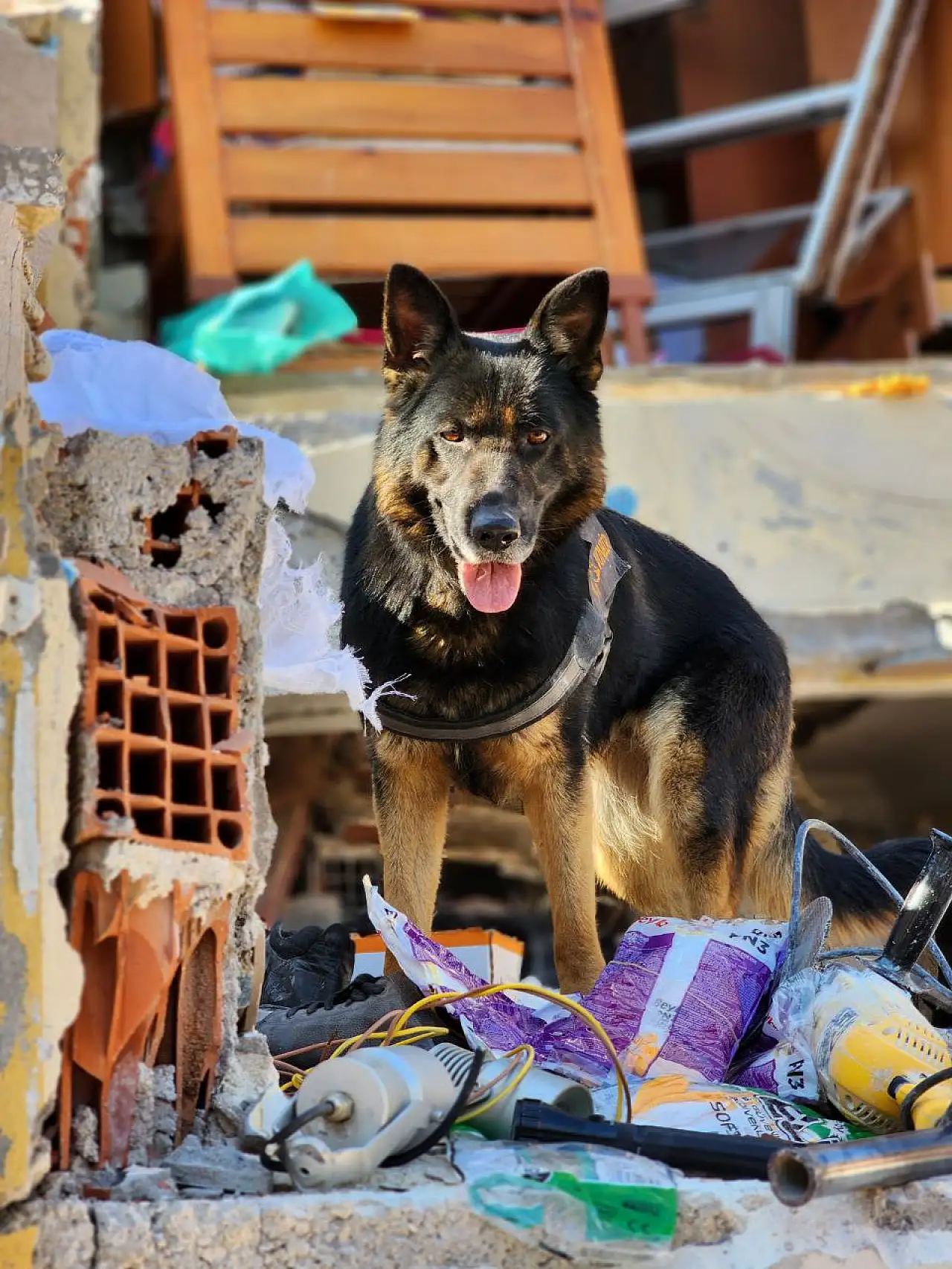 Hatay'ın umuduydu, Konya'nın gururu oldu: Gece'nin ardından yeni kahraman Vondi!