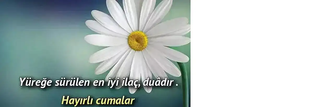 Haber
