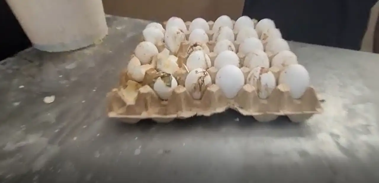 Halkın sağlığıyla oynamışlar: 170 kilo bozuk et ve çürük yumurta imha edildi!