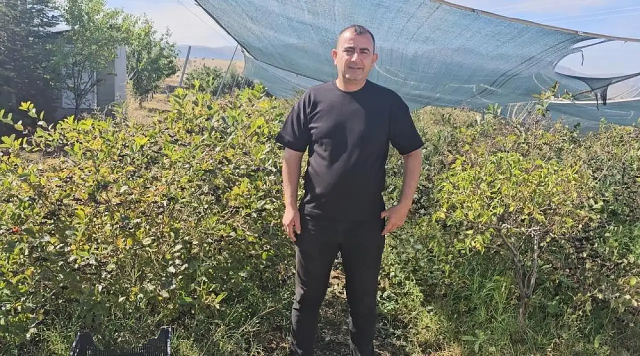 Şifa deposu ürün Konya'da yetişiyor, ülkeye yayılıyor!