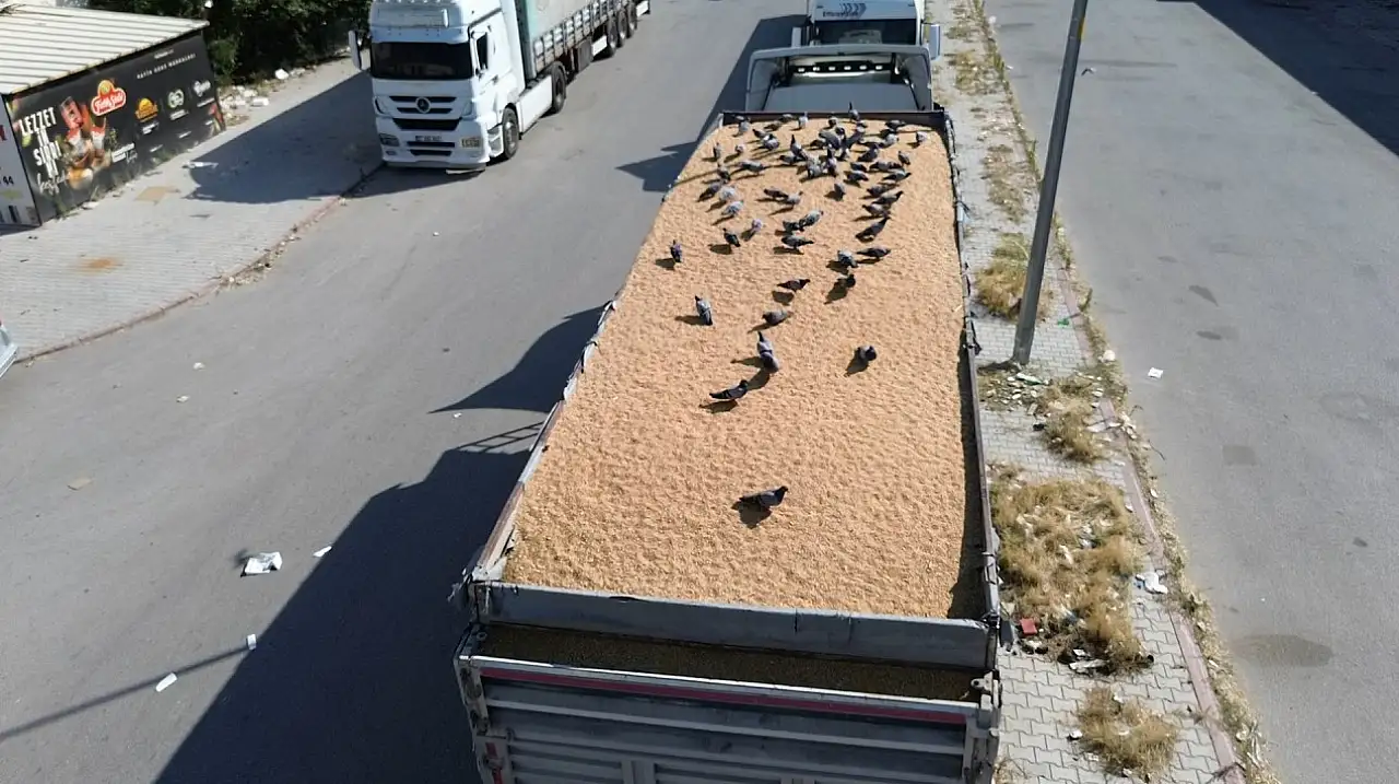 Konya Buğday Pazarı'nın bereketi oldular: Esnaftan örnek davranış!