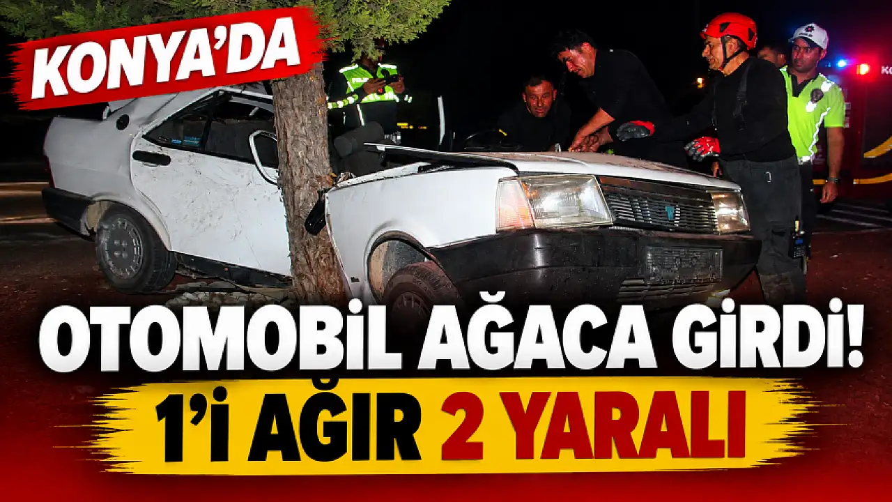 Konya'da otomobil ağaca girdi! 1'i ağır 2 yaralı