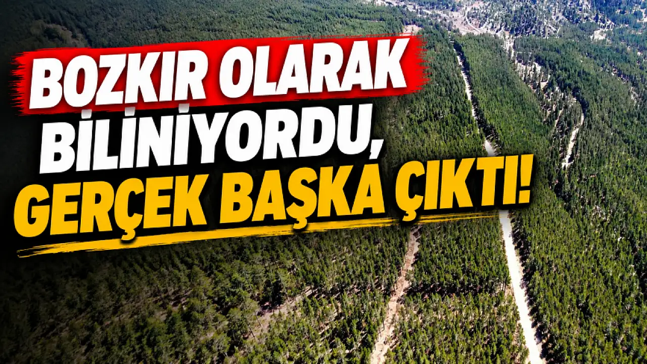 Konya rekor kırdı! 50 yılda inanılmaz artış