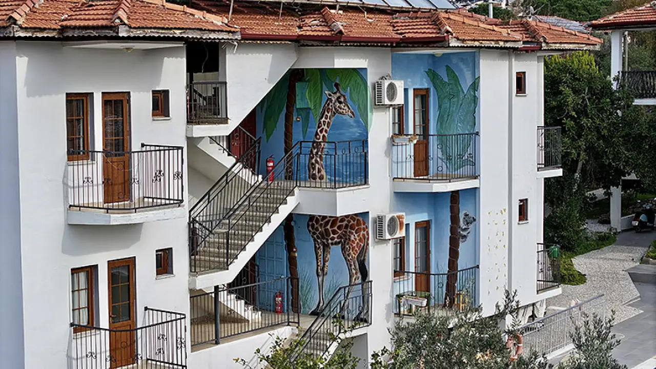 Burada duvarların dili var! Sokaklar onunla renkleniyor