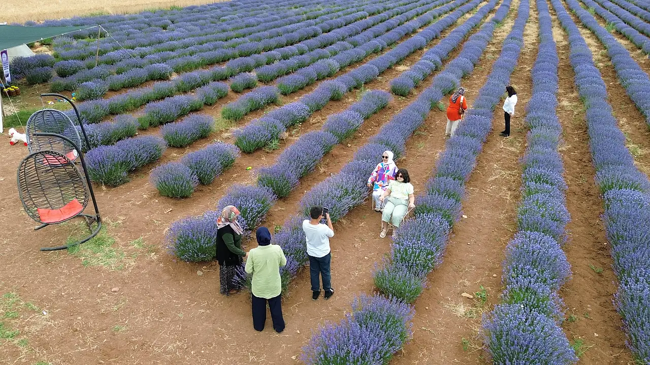 Konya'da gören dönüp bir daha bakıyor! Yerli yabancı herkes buraya geliyor