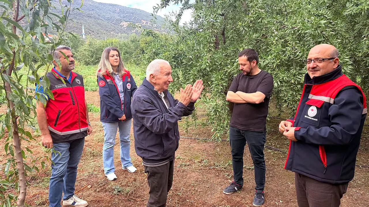Konya'da üreticinin yüzü güldü: Alternatif arıyorlardı çözümü bademde buldular!
