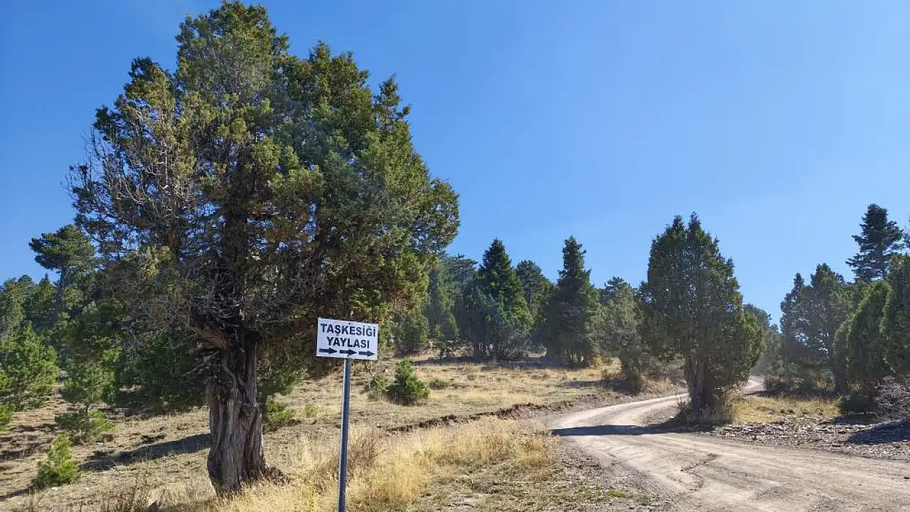 Şifa üretmek için Konya'ya göç ediyor! Tamamen organik...