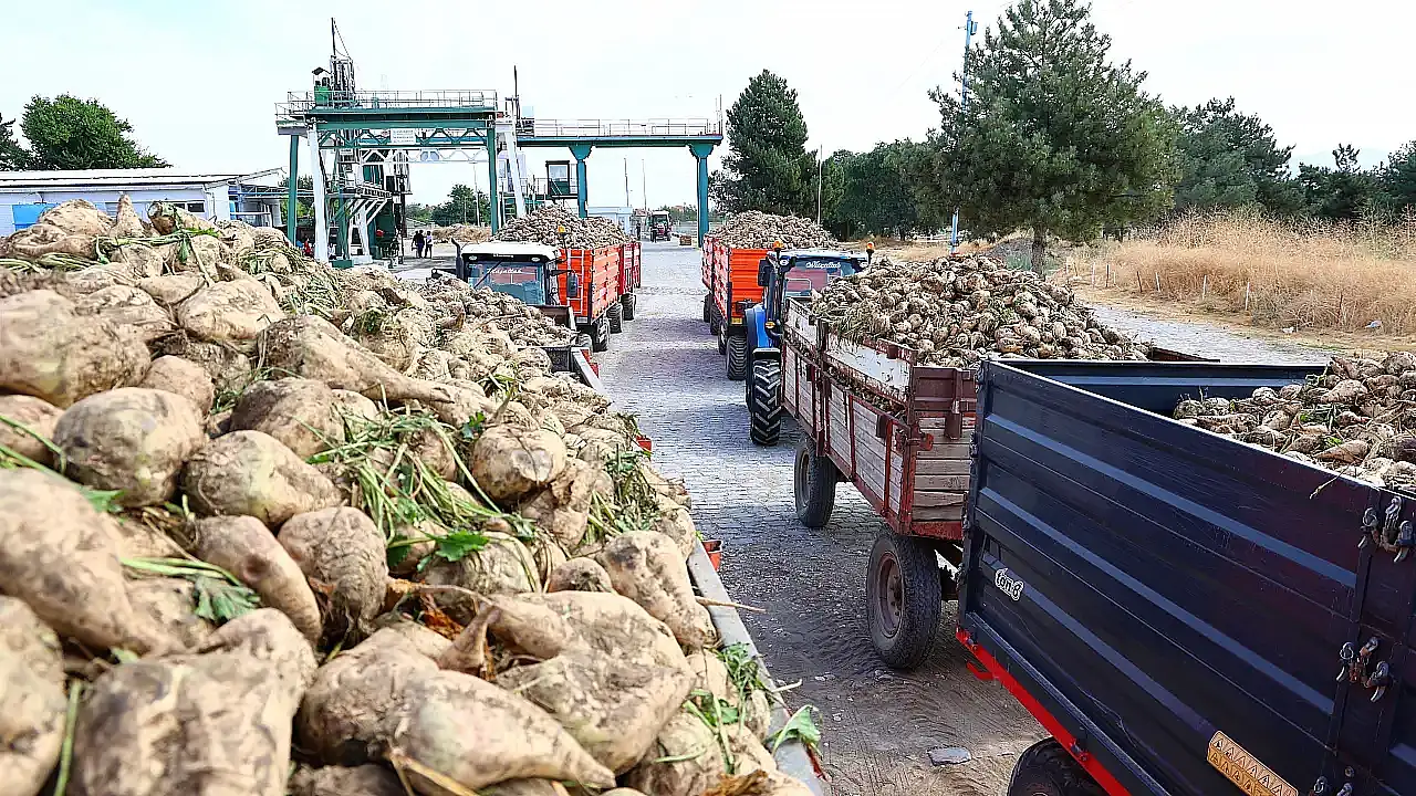 Erkoyuncu açıkladı: Türkiye'nin şeker ihtiyacının yüzde 17'si Konya'dan!