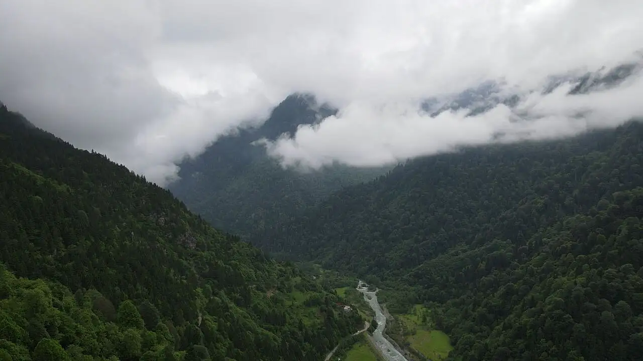 İklim değişikliğiyle Mücadelenin Etkili Silahları