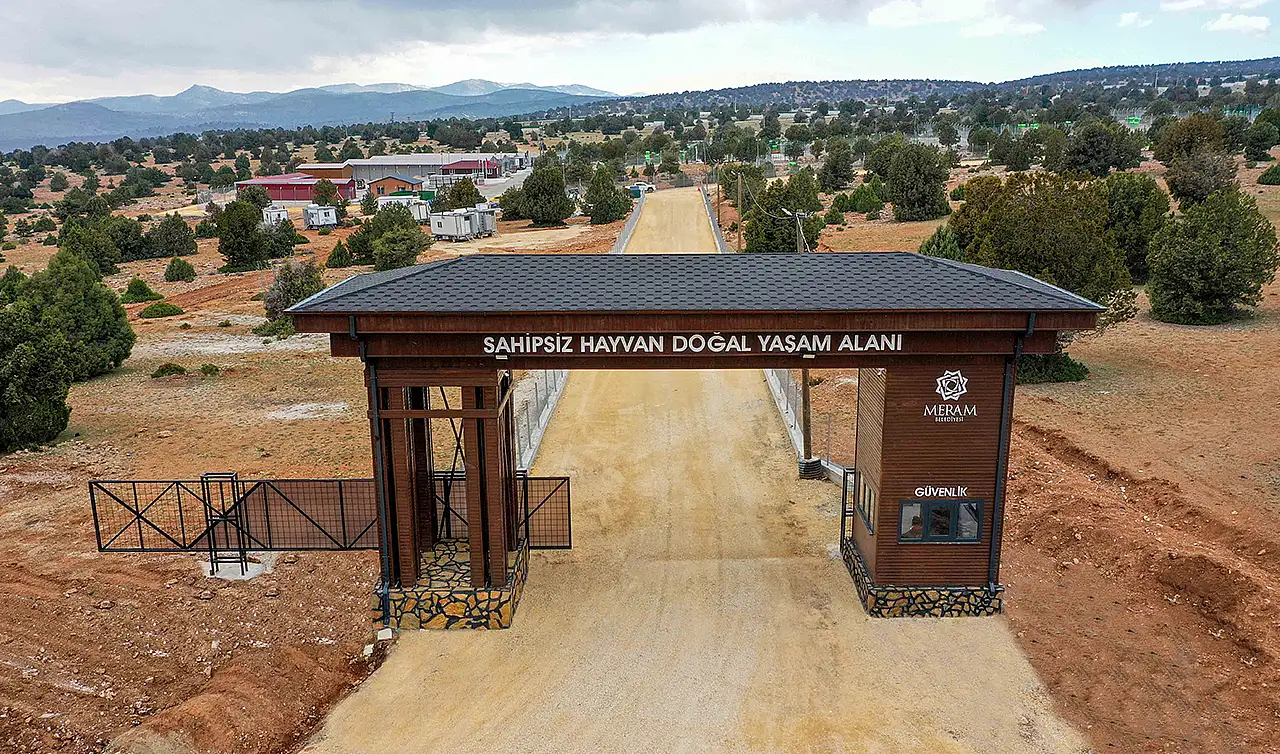 Konya Büyükşehir vatandaşları uyardı: Sahiplendirme dolandırıcılığına dikkat!
