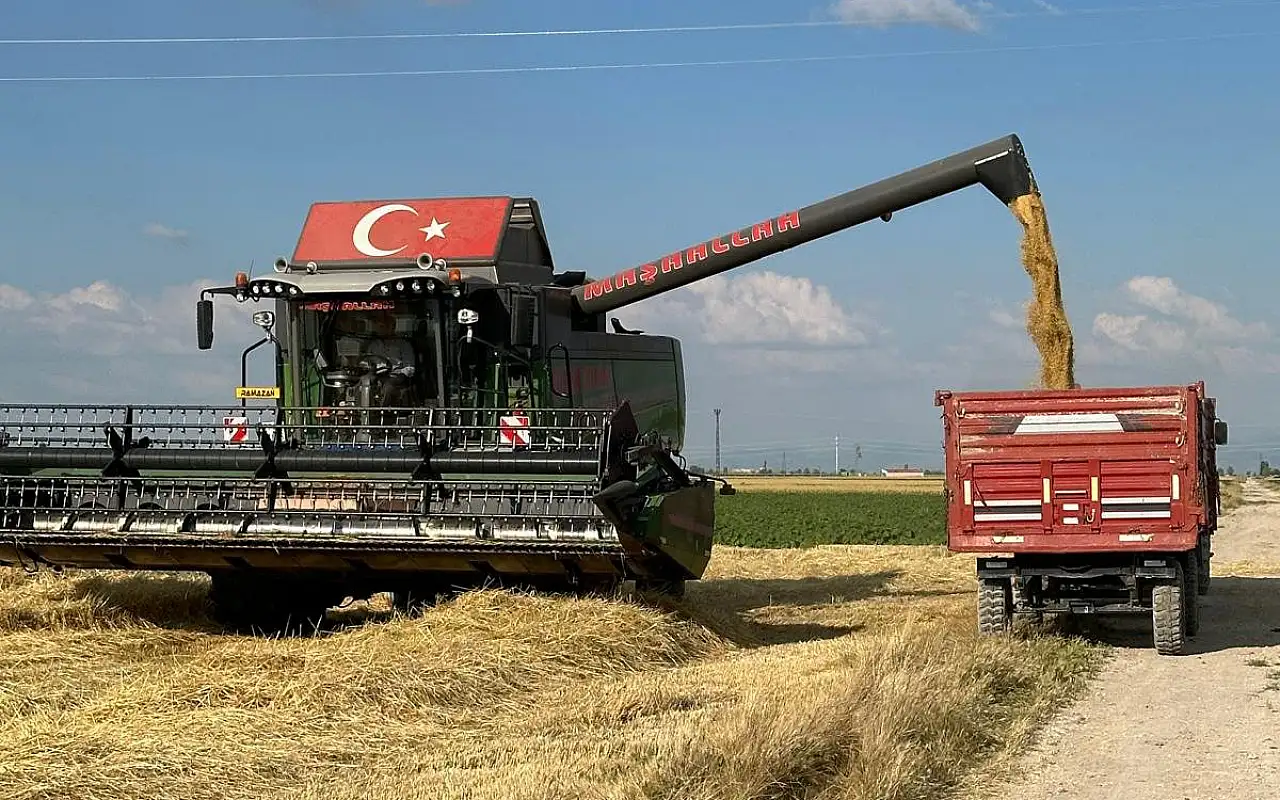 Konya'da hasat zamanı! İlk görüntüler maşallah dedirtti!