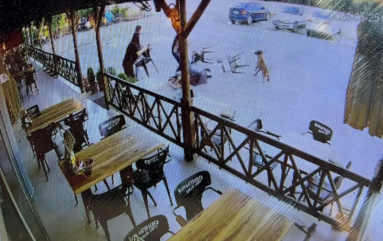 Dinlenme tesisinde başıboş köpek dehşeti! Saldırdığı kadının kolunu kopardı!
