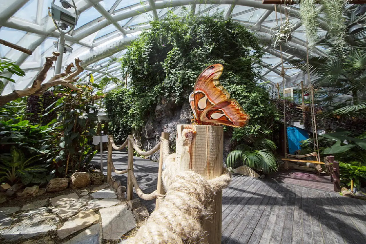 Ziyaretçi akınına uğrayan Konya'daki o mekan kapanıyor!