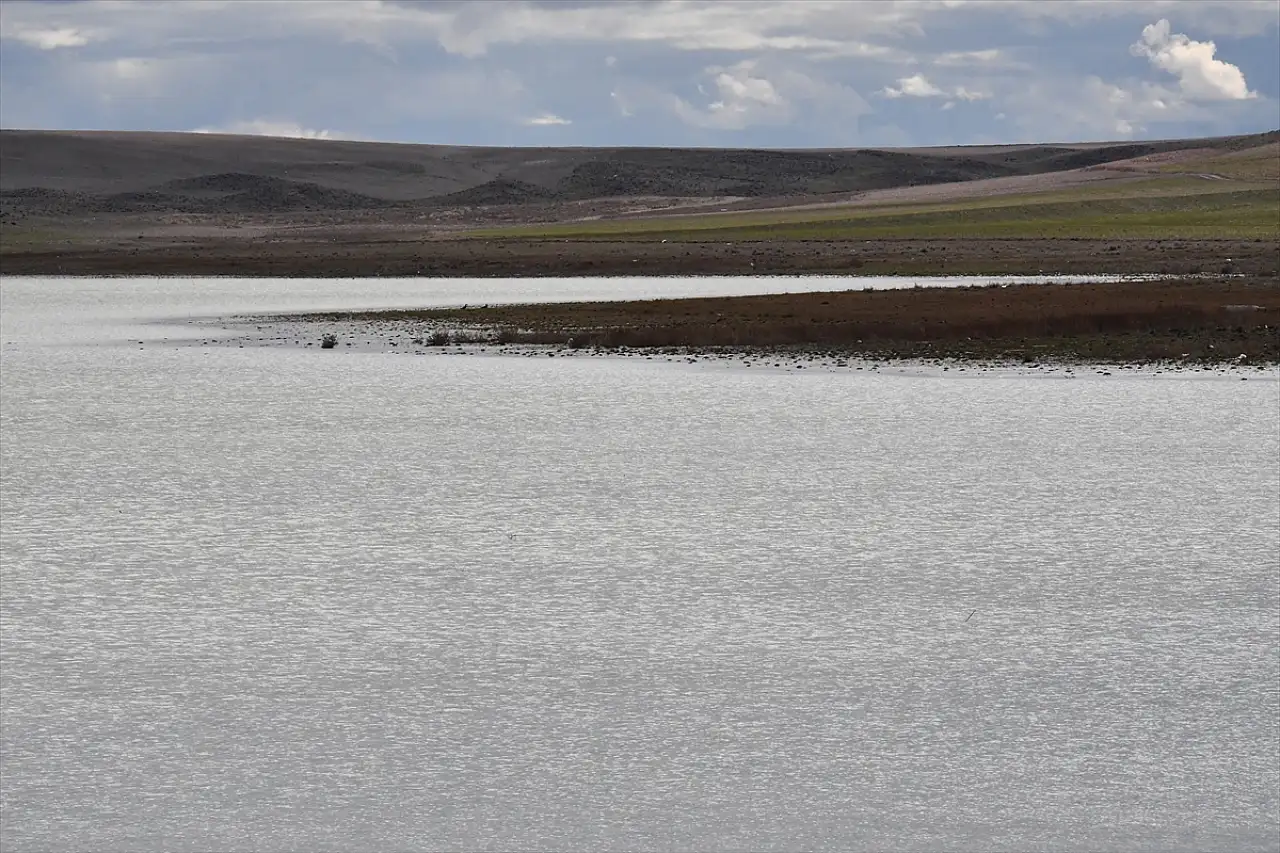 Doğa pes etmedi: Konya'da 4 yıllık hasret bitti!