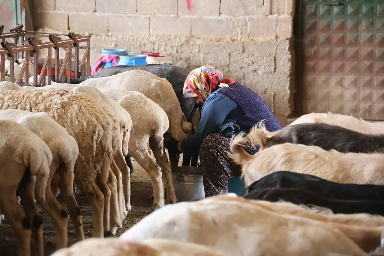 Konya'da kırsalda kadının emeği ekonomiye can veriyor!