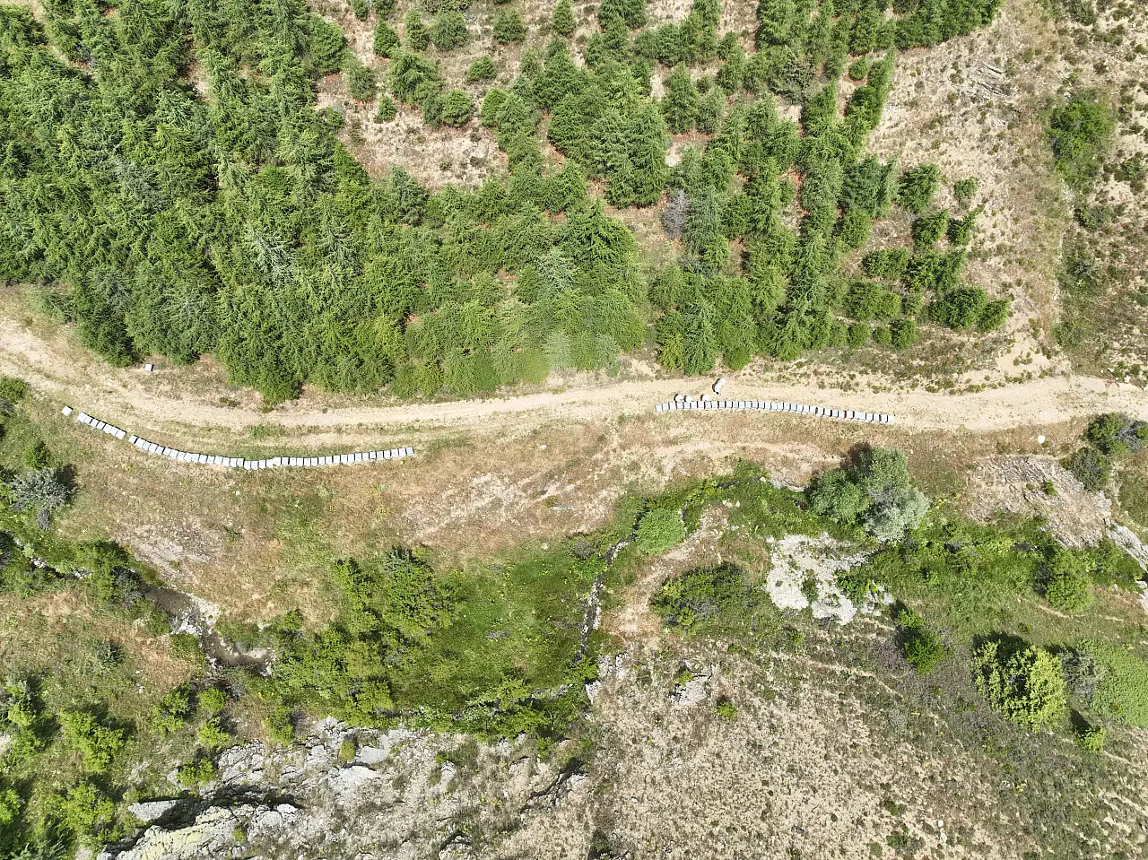 Konya'da arıcılara büyük destek! Üretim arttı, kovan sayısı 140 bine dayandı