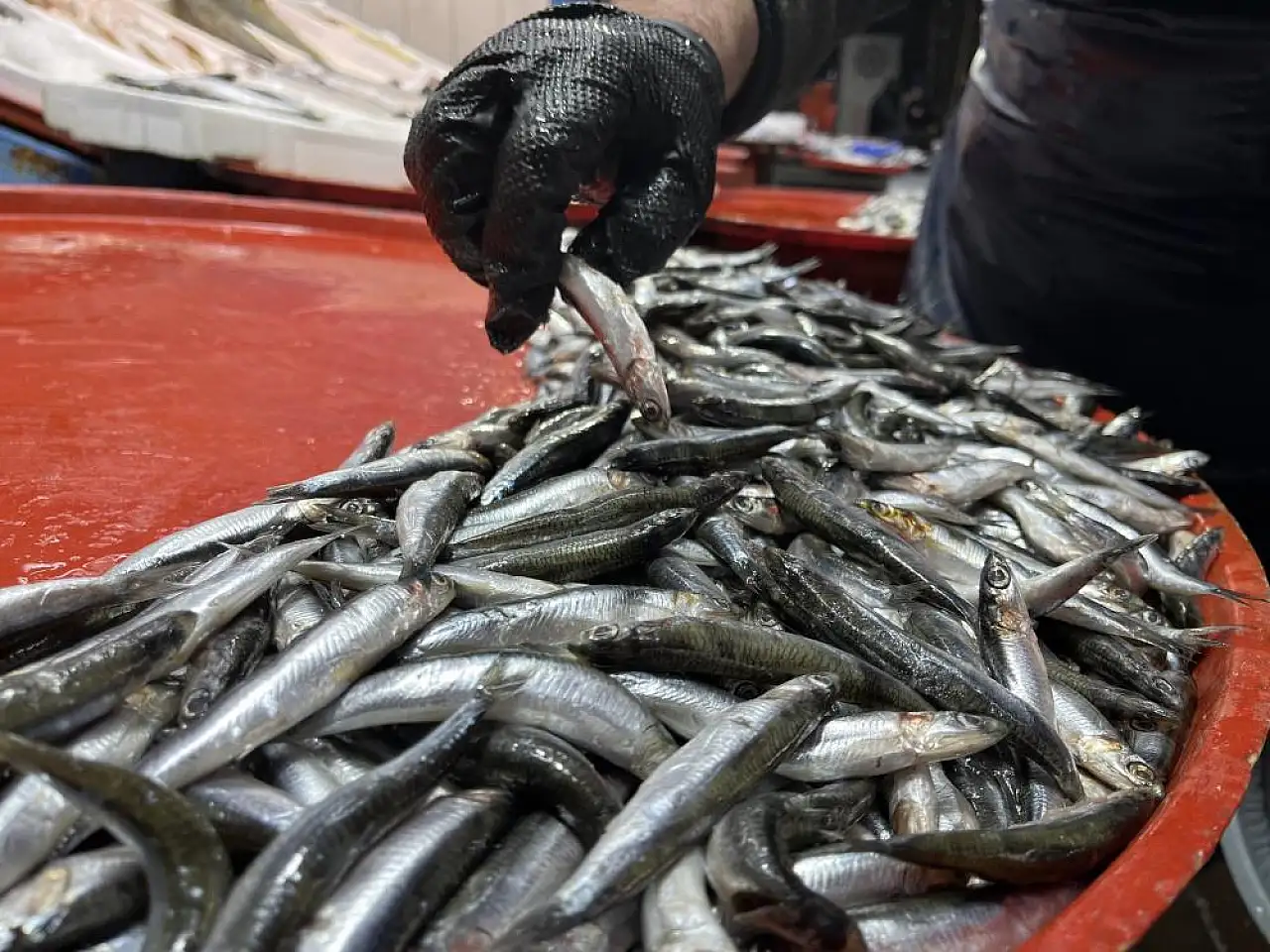 Konya'da hamsi alarmı: Tezgahlarda azalma var