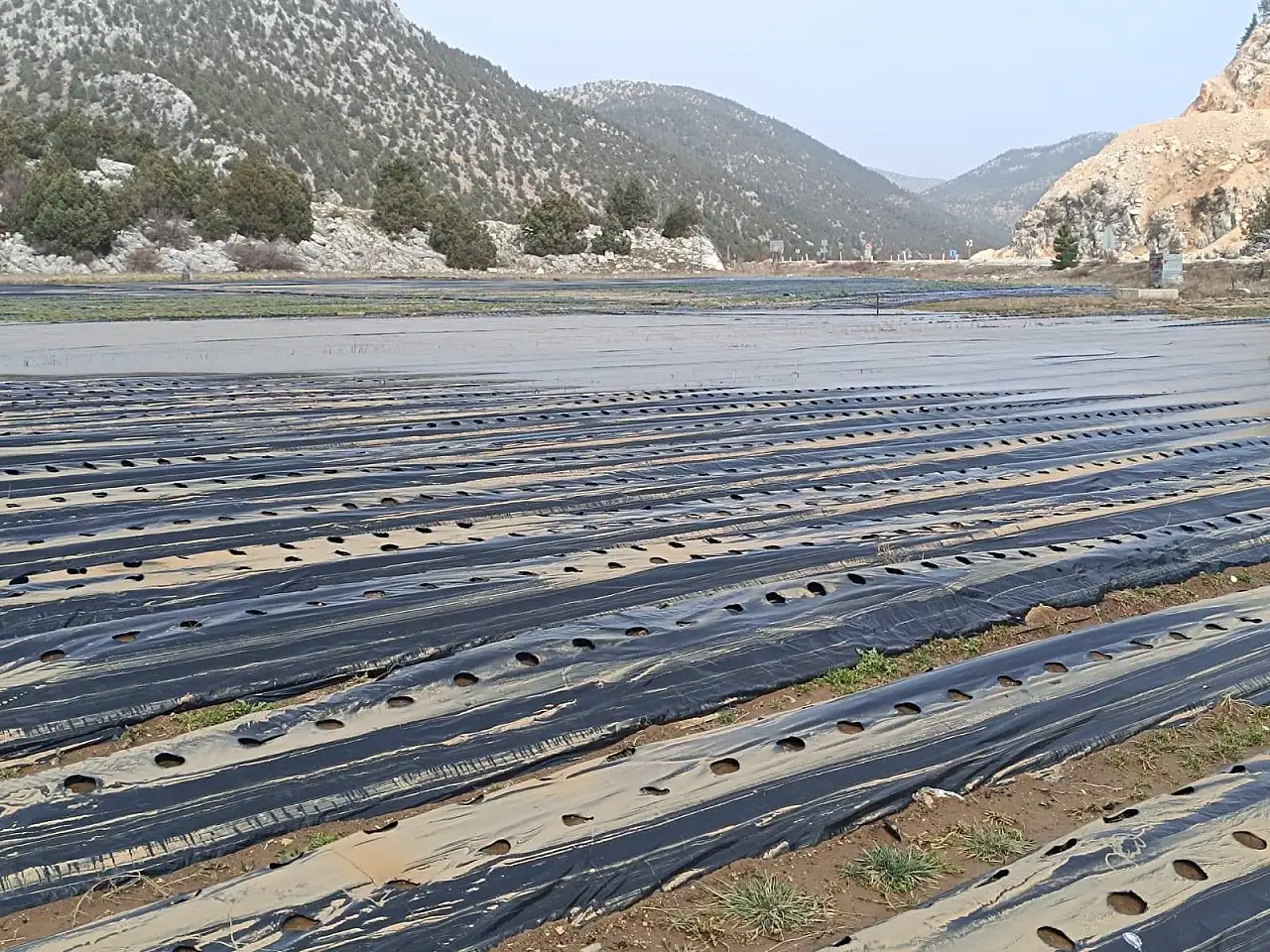 Gembos Ovası'nda taşkın sonrası inceleme yapıldı