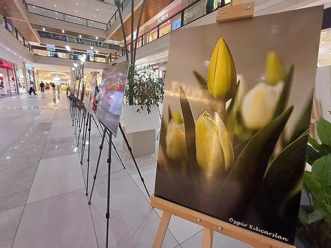 Haber