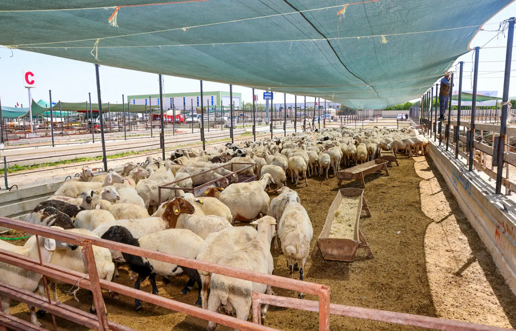 Selçuklu'nun bayram planı açıklandı: Tropikal Kelebek Bahçesi ve Sille Baraj Parkı bayramda açık mı? Ziyaret saatleri kaç?