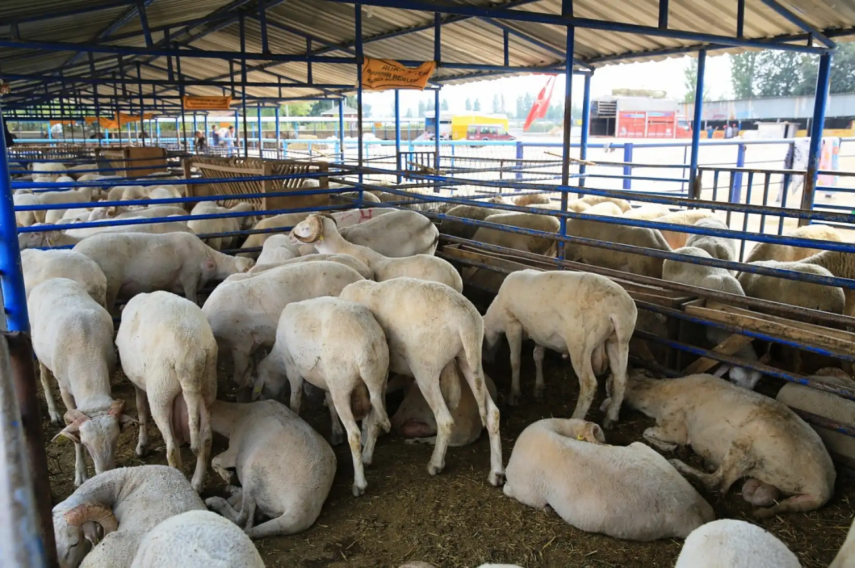 Konya'da kurban kesim yerleri netleşti! İşte ilçe ilçe tam liste...