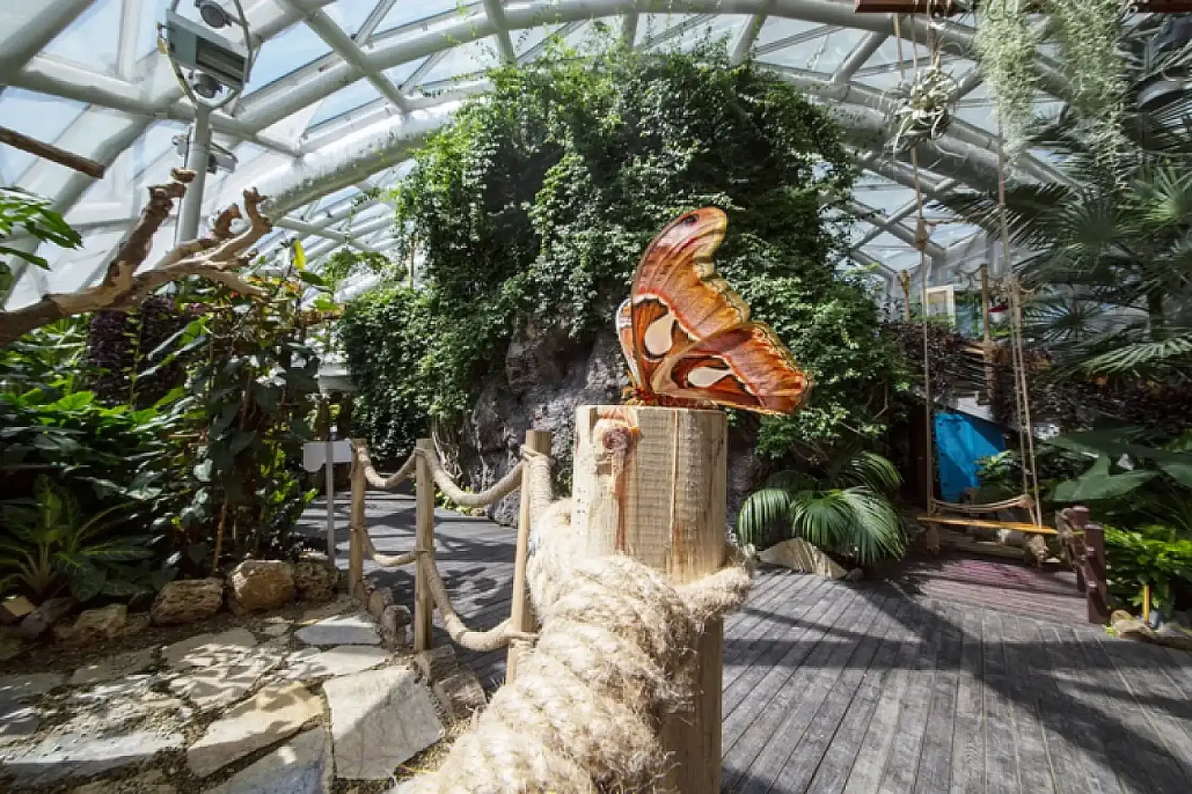 Konya'da bir aydır kapalıydı... Kapıları bugün tekrar açılıyor!