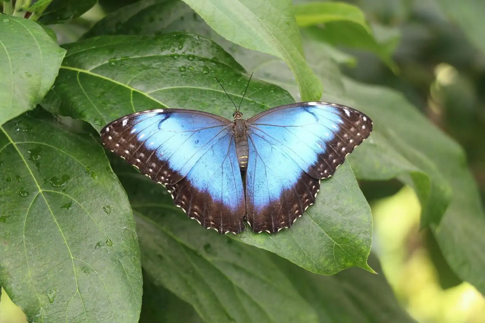 Konya'da bir aydır kapalıydı... Kapıları bugün tekrar açılıyor!
