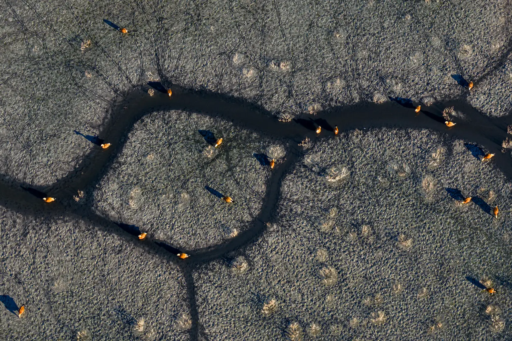 Göçün en güzel durağı: Düden Gölü