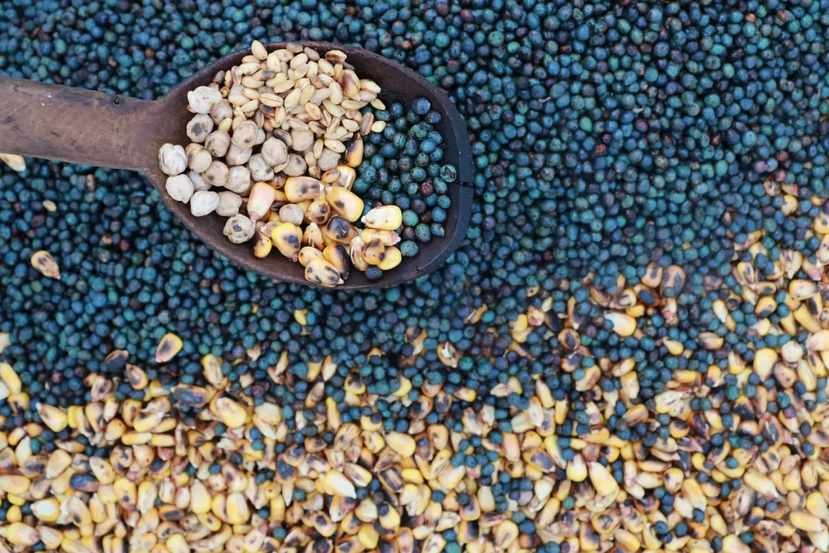 Geçmişin tadı, geleceğin mirası! Evliya Çelebi'nin bahsettiği o tat Konya'da yaşatılıyor!
