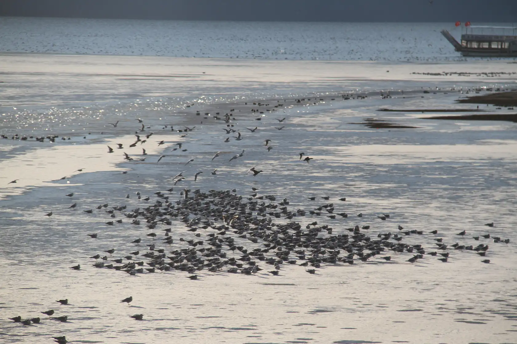 Beyşehir'de göl yüzeyi dev bir pist oldu! Balıkçıların buz mesaisi başladı!
