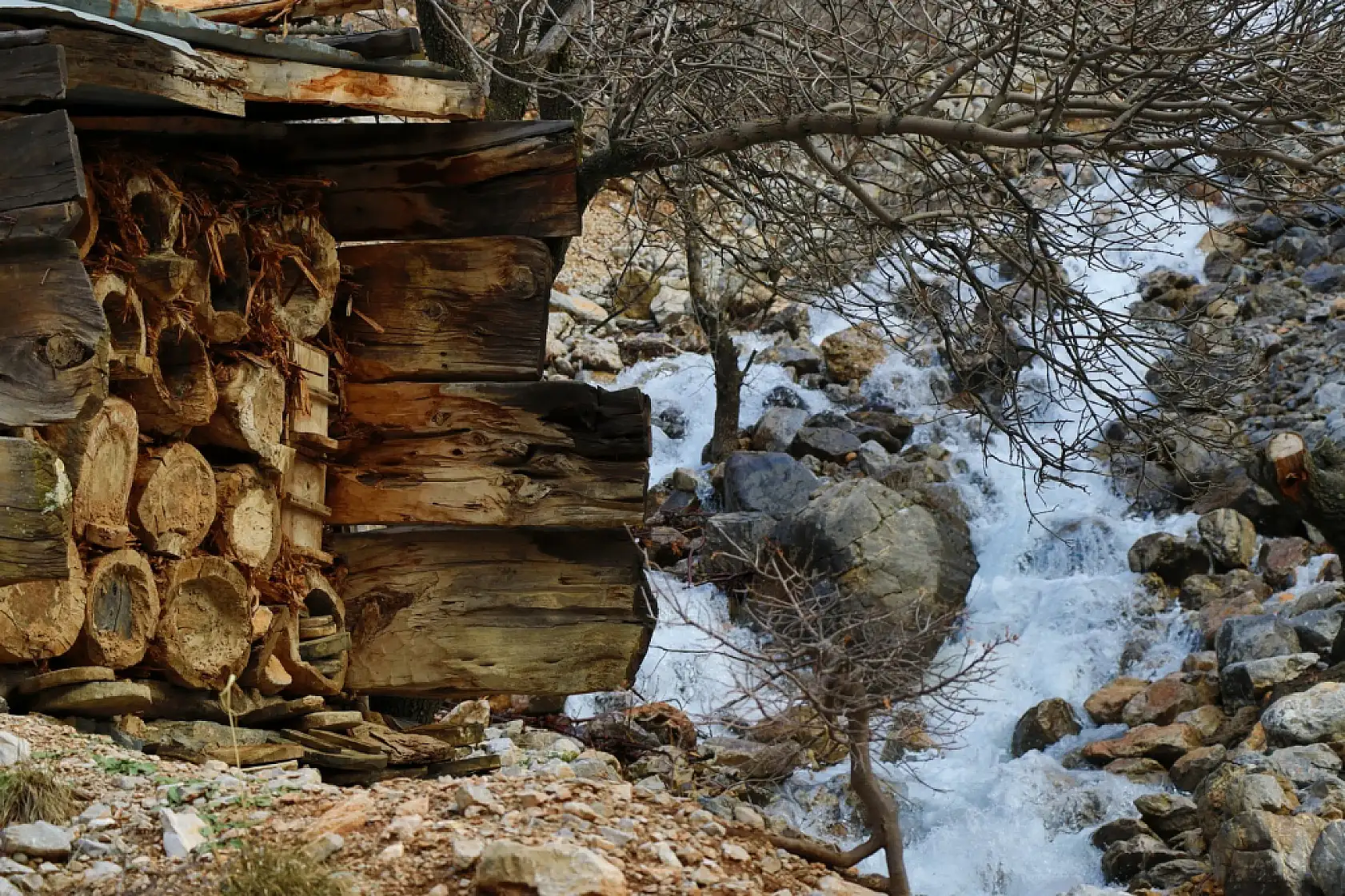 2 yıllık hasret bitti: Toprak suya, Konya Göksu'ya kavuştu!