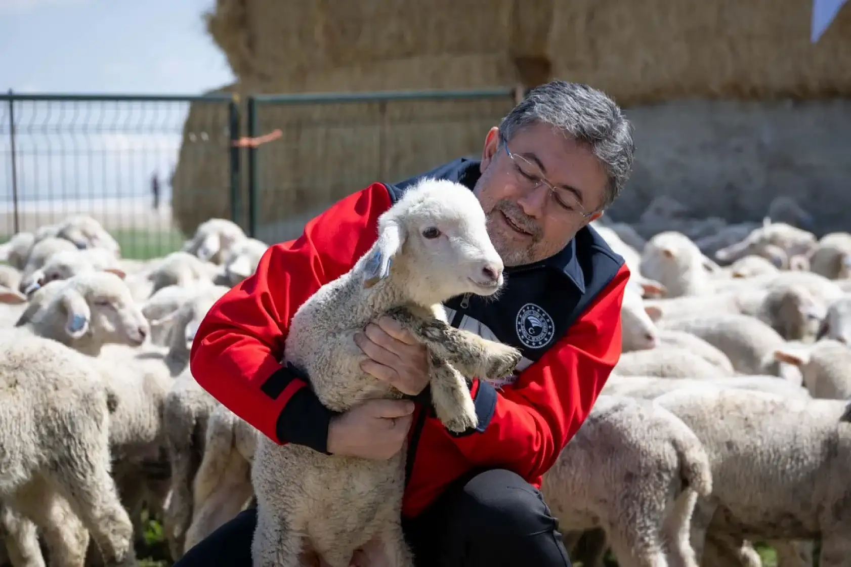 Üreticilere müjde! 150 bin küçükbaş için başvurular başladı: Son günü kaçırmayın