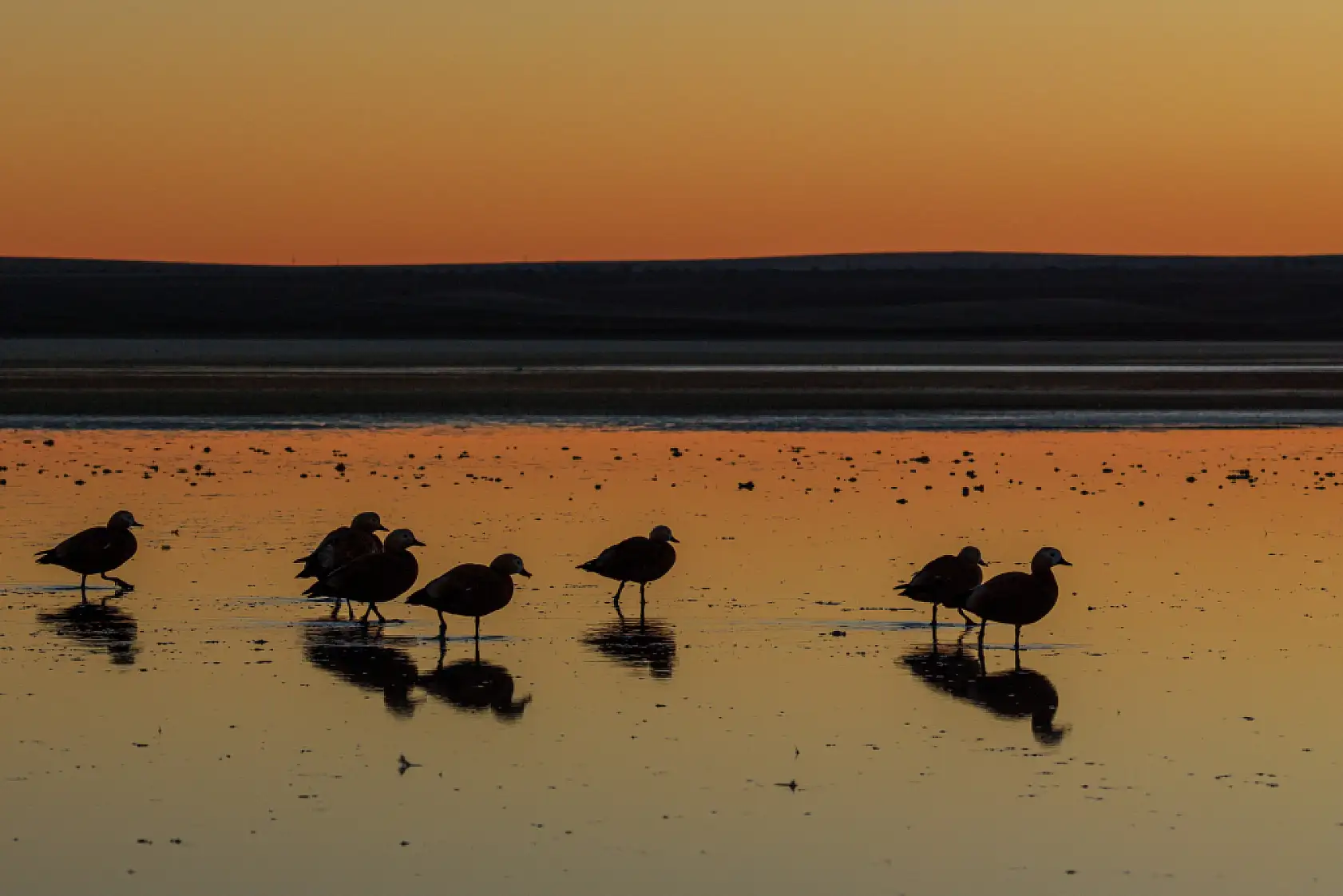 Göçün en güzel durağı: Düden Gölü