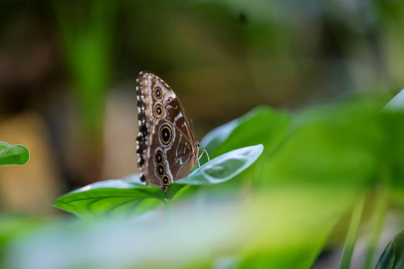 Konya'da bu bahçe yaz kış 28 derece! Mevlana'dan sonra en çok oraya gidiliyor!