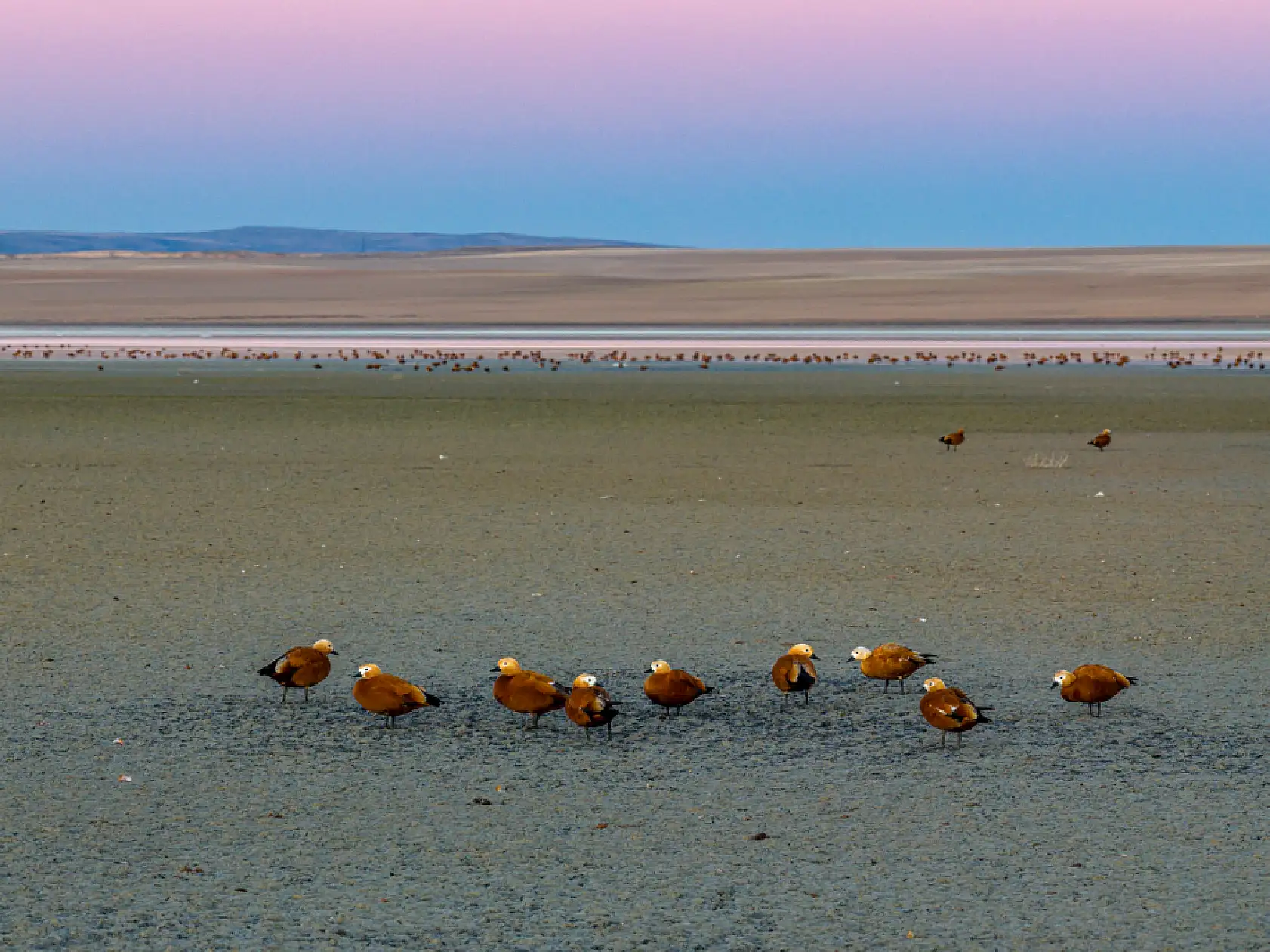 Göçün en güzel durağı: Düden Gölü