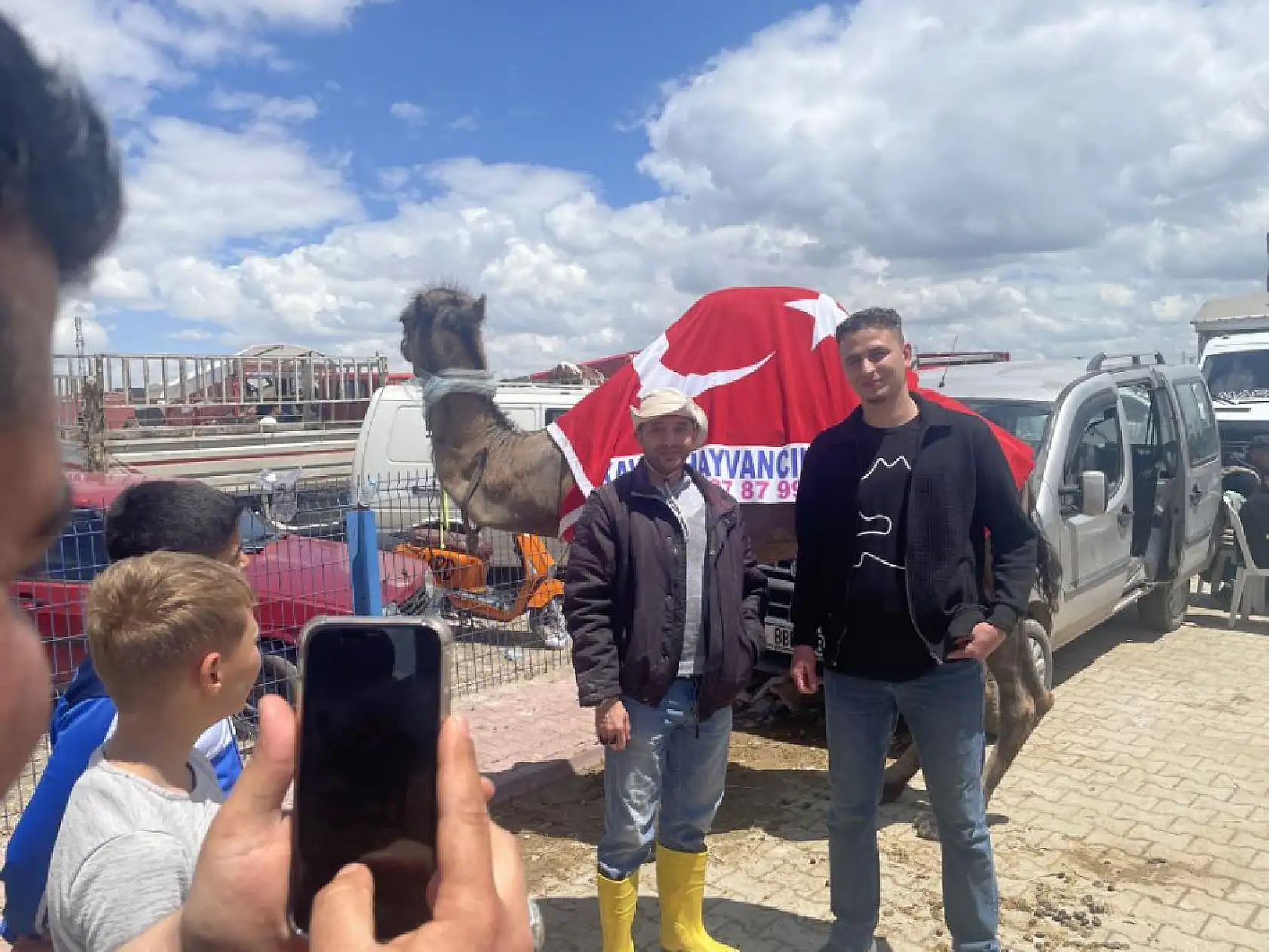 Konya'da satılan devenin fiyatı dudak uçuklattı! Görenler telefonuna sarıldı