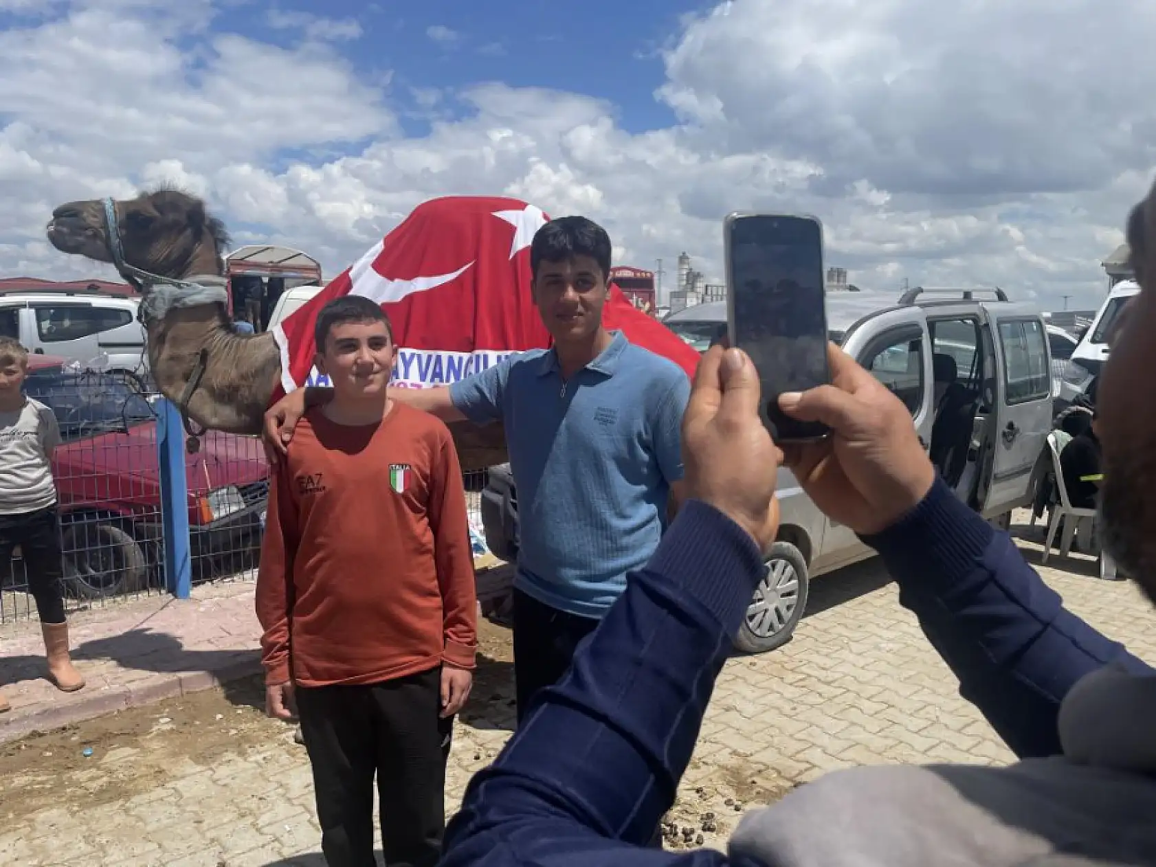 Konya'da satılan devenin fiyatı dudak uçuklattı! Görenler telefonuna sarıldı