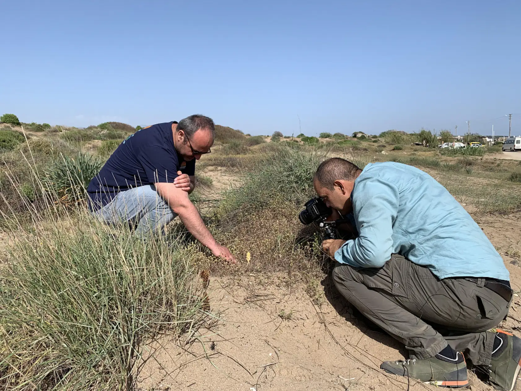 Bu çiçekleri koparmanın cezası 700 bin lira! İşte o bitkiler...
