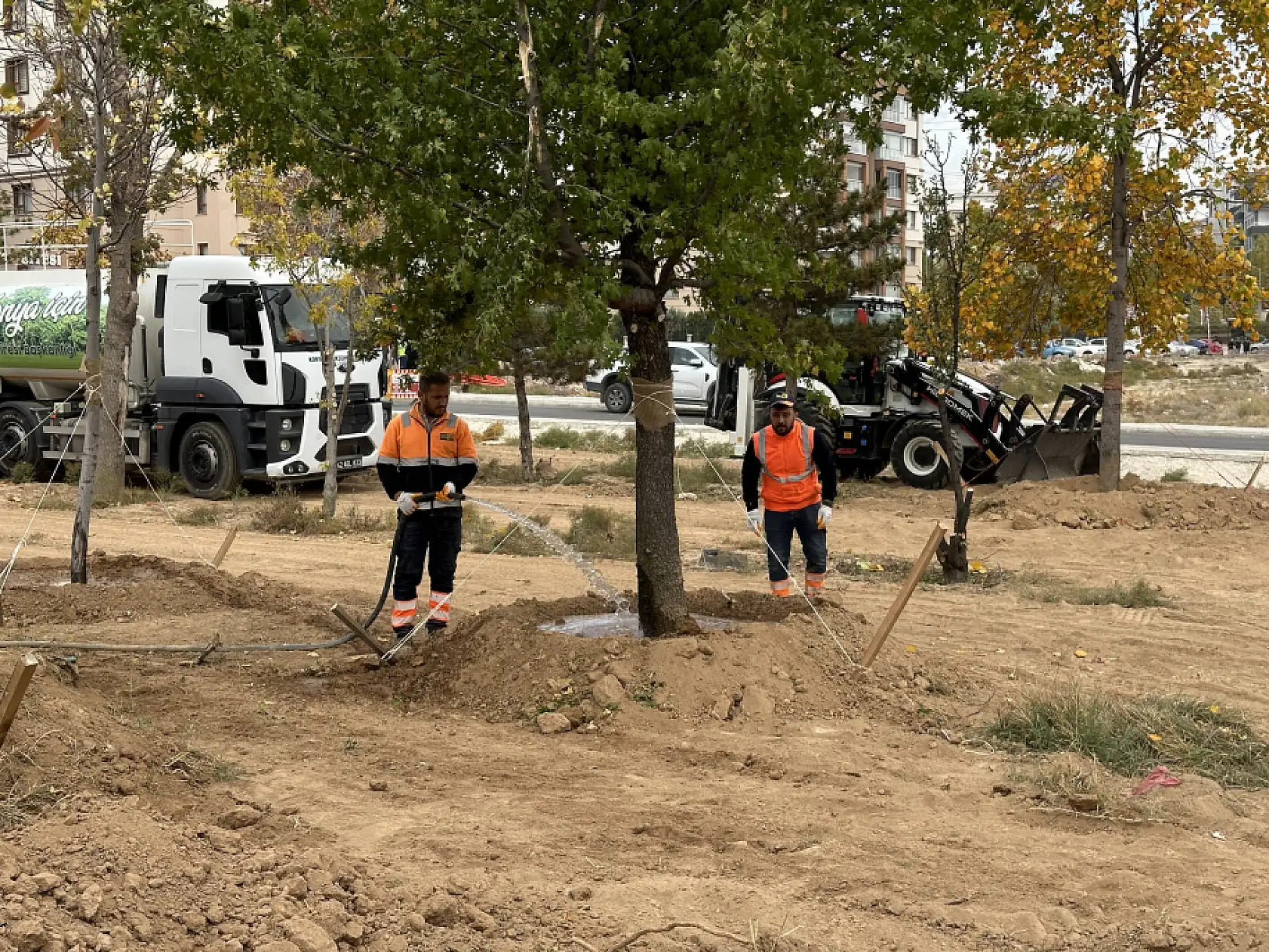 Konya'da alkışlanacak hareket: Ağaçlar kökleriyle taşındı!