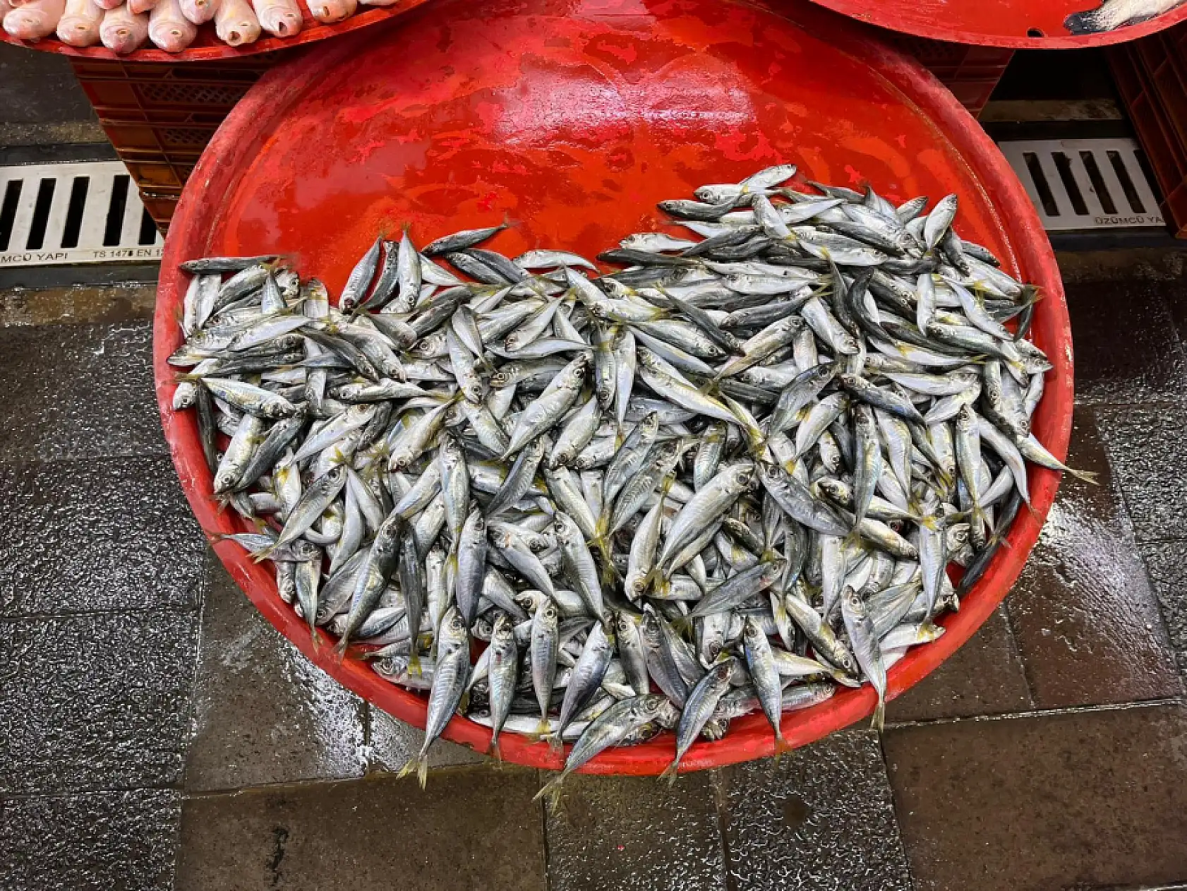 Konyalı balıkçılar son noktayı koydu! Meğer herkes yanlış günleri bekliyormuş!