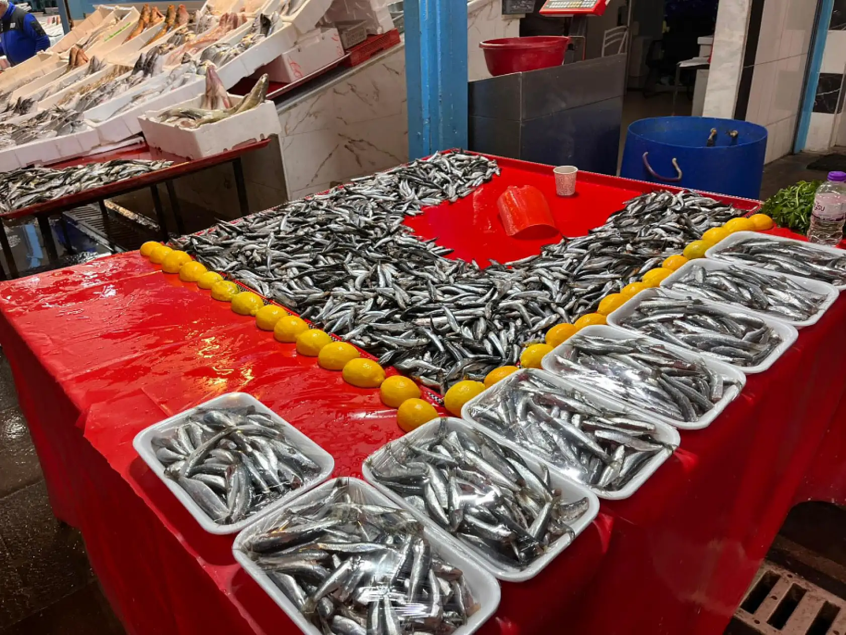 Konyalı balıkçılar son noktayı koydu! Meğer herkes yanlış günleri bekliyormuş!