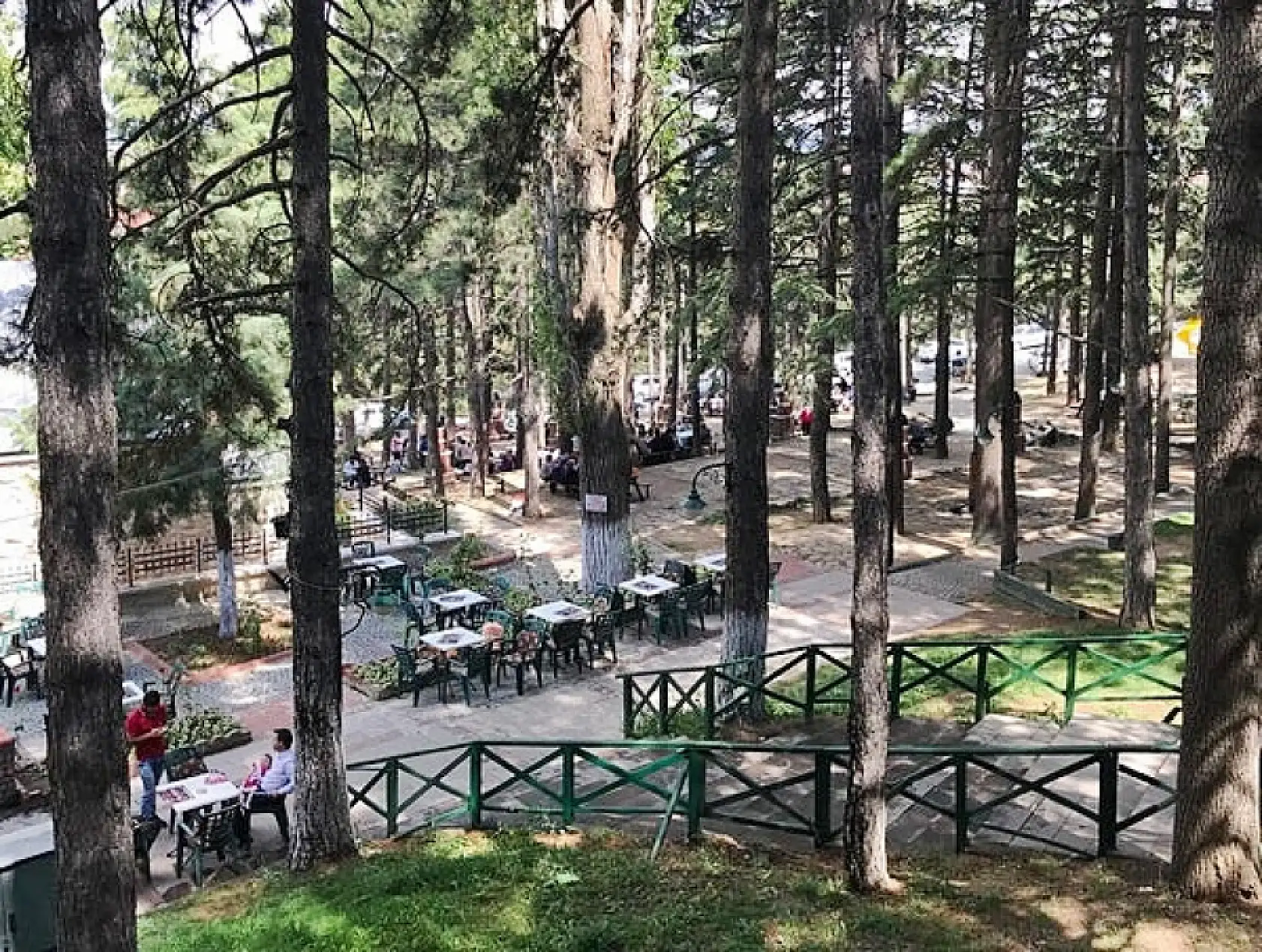 Hangi alanlar ücretsiz, nerelerde mangal yasak? İşte Konya'nın güncel piknik rehberi ve giriş ücretleri...