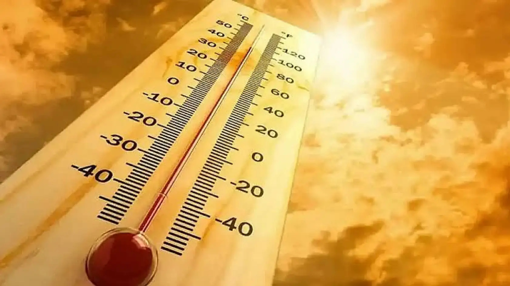 Konya'ya Afrika'dan geliyor! O tarihlere dikkat!