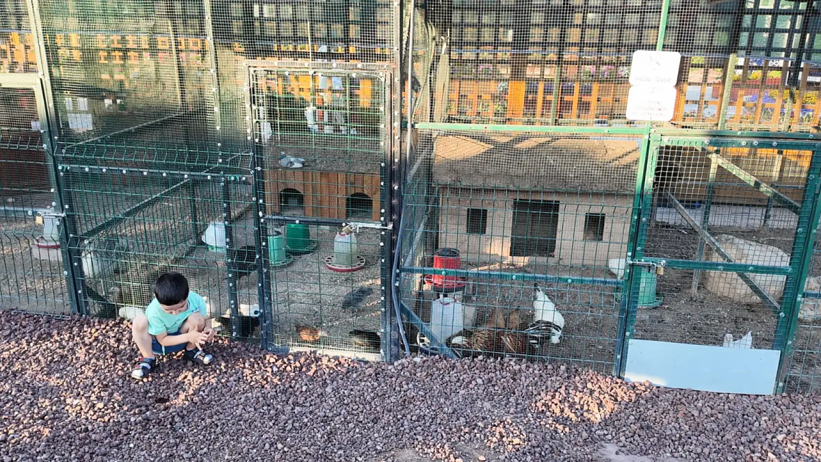Selçuklu Çiçek Bahçesi hafta sonlarının vazgeçilmezi oldu! Konyalılar akın ediyor